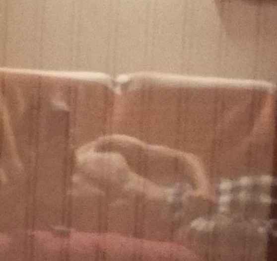Profil de Zack, 21 ans, Annonce gay à Cheiry