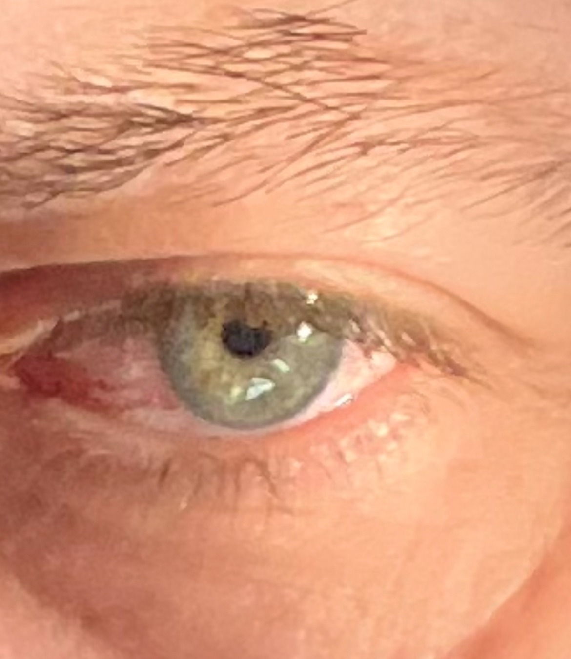 Profil de Jebril, 49 ans, Annonce gay à Hätzingen